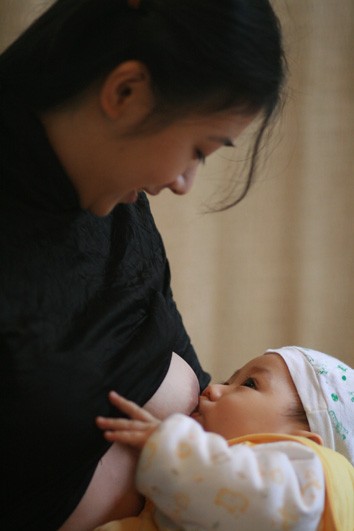   Breastfeeding Week launched in Hanoi - ảnh 1